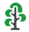 Big Kid Studios logo of tall tree with extended branches